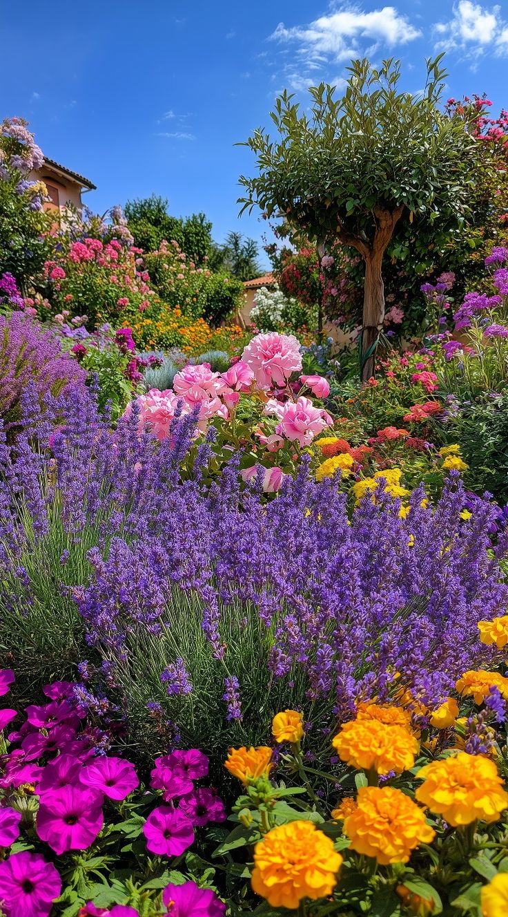 Flower Field