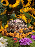 The Garden Trucka' - Samflower Bouquet