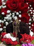 The Garden Trucka' - 1 Dozen Roses Bouquet